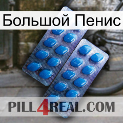 Большой Пенис viagra2